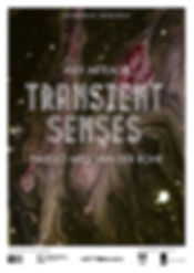 transient senses poster 2