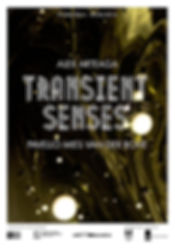 transient senses poster 3
