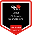 City and Guild's Level 3 Distinction 