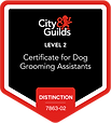 City and Guild's Level 2 Distinction 