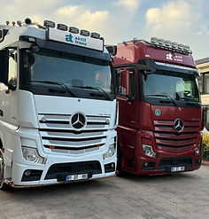 trucks_logo_sonnenblende.jpg