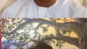 ADCCI's Instagram Conferences '#staycurious'  -by Omar AlBusaidi