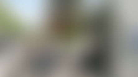 Ein modernes Gebäude mit barrierefreiem Zugang über eine Holzrampe. Ein Mann im Rollstuhl und eine junge Frau unterhalten sich auf der Rampe, während eine ältere Dame mit Rollator das Gebäude betritt. Neben der Eingangstür hängt ein offiziell wirkendes Schild mit der Aufschrift "Zuschüsse Barrierefreiheit 2026" sowie Piktogrammen für Rollstuhlfahrer, Aufzug und Rampe.