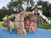 UPC Parks Sequoia Log
