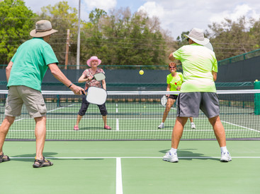 PW Pickleball Net