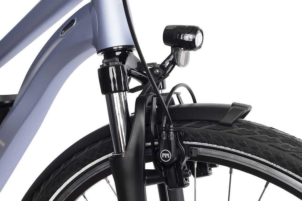 Miniatiūra: COREST e-Salley Wave 28"