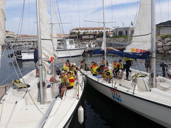 BEST 4 VOILE STECK