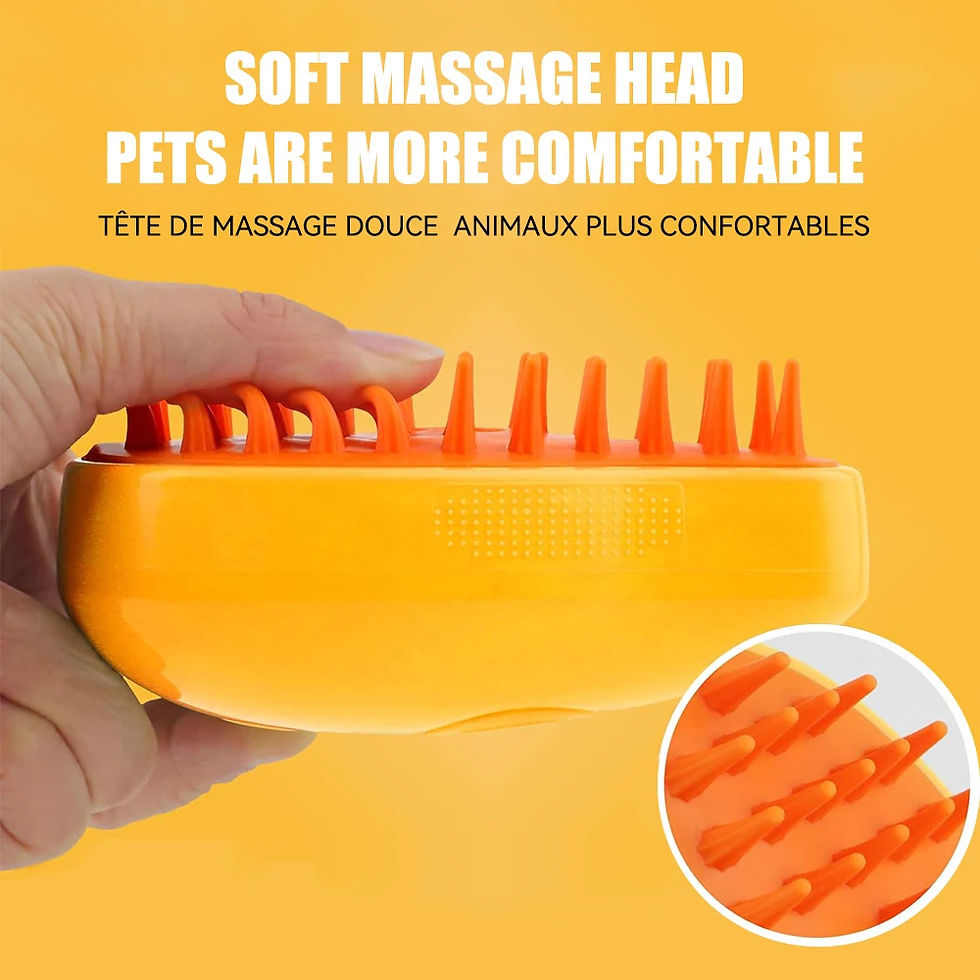 Thumbnail: 3-in-1 Steamy Brush for Pet Cat Dog Grooming Accessories Electric Brushes for Ha