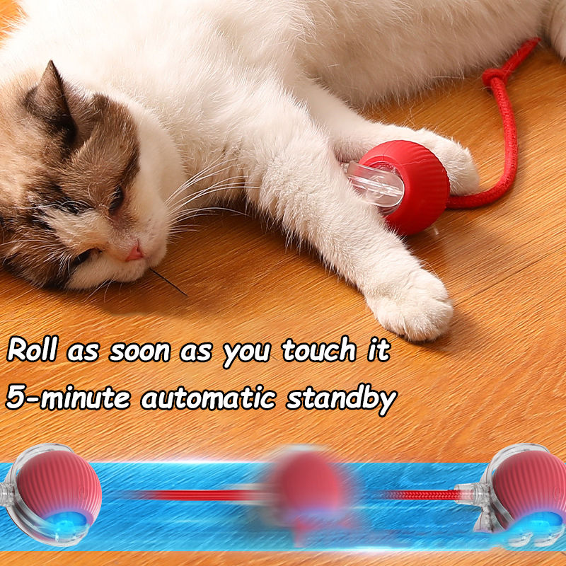 Thumbnail: Cat Interactive Ball Toys Automatic Rolling Ball Faux Tail Rechargeable Smart Pe