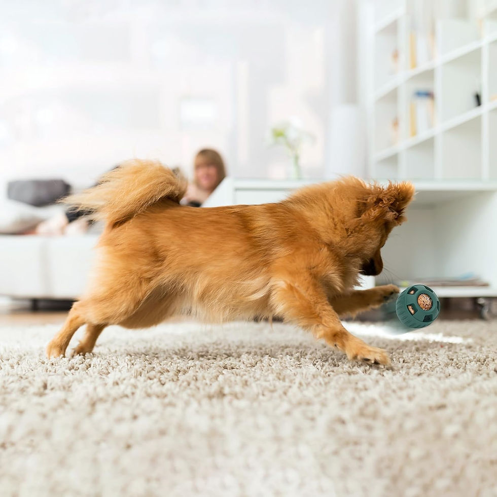 Thumbnail: Fillable Dog Toys Silicone Pet Dog Toys Dog Chew Toys Refillable Dog Food Ball D