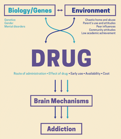 Drug Misuse and Addiction