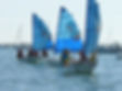 stage d'optimist