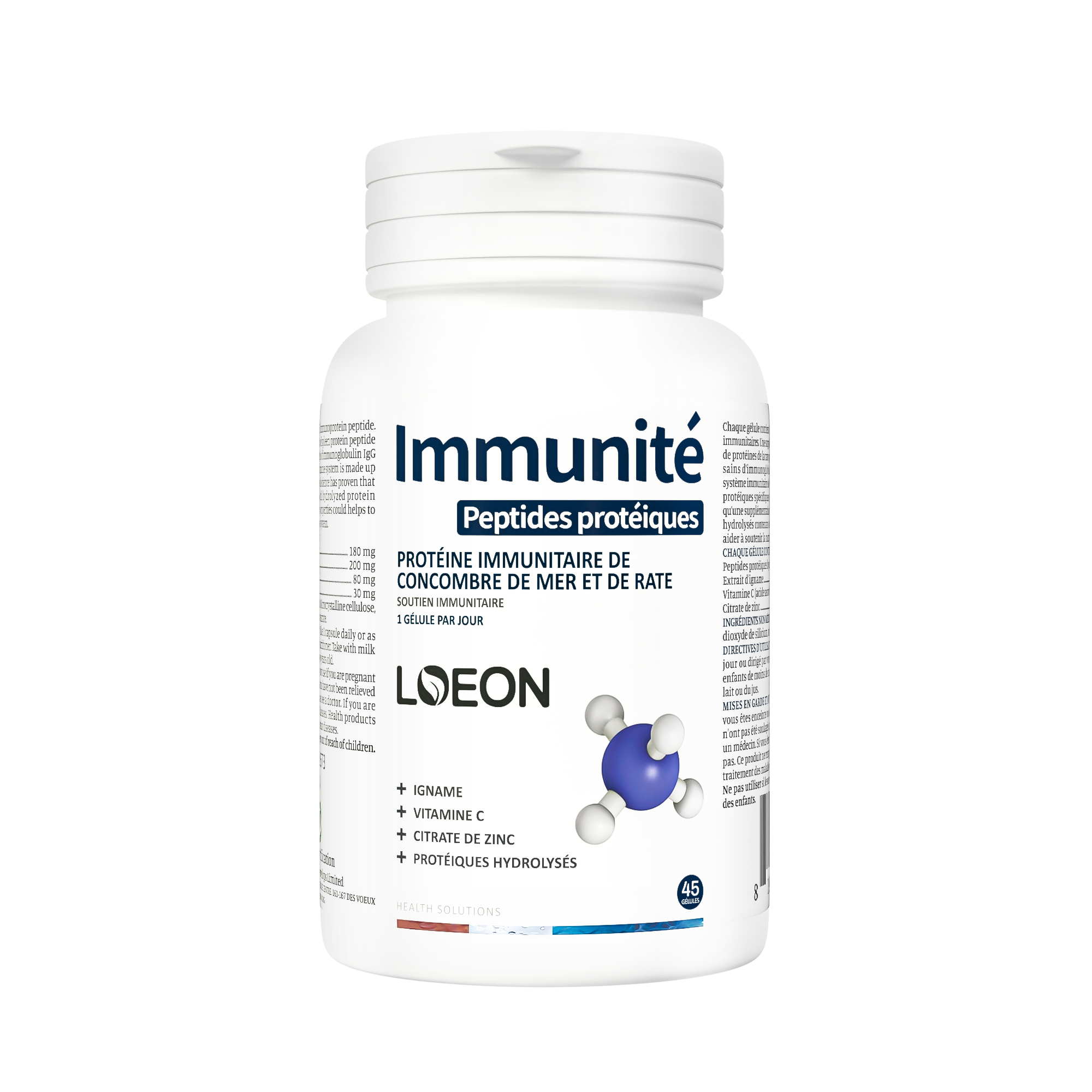 Immunity Spleen