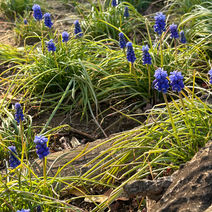 アリエッティの世界