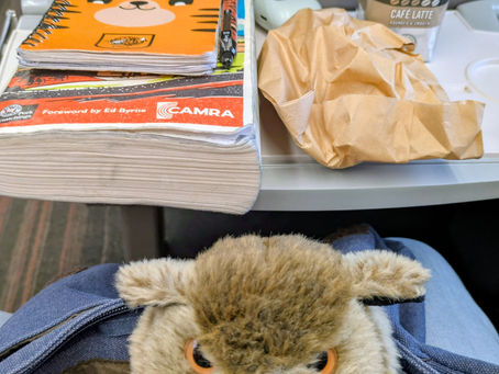 BRAPA in .... THE COIN OF CONTENTION : RAYLEIGHING AROUND MID-SOUTH ESSEX