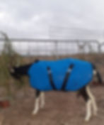 Animal Rugs, Blankets, Jackets, Covers & Blankets Australia & New Zealand
