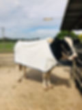Animal Rugs, Blankets, Jackets, Covers & Blankets Australia & New Zealand