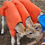 Thumbnail: Animal Rugs, Blankets, Jackets, Covers & Blankets Australia & New Zealand