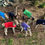 Thumbnail: Animal Rugs, Blankets, Jackets, Covers & Blankets Australia & New Zealand