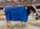 Animal Rugs, Blankets, Jackets, Covers & Blankets Australia & New Zealand