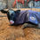 Thumbnail: Twin Packs of small+medium,   medium+large,   large+x/large with pouch for heat
