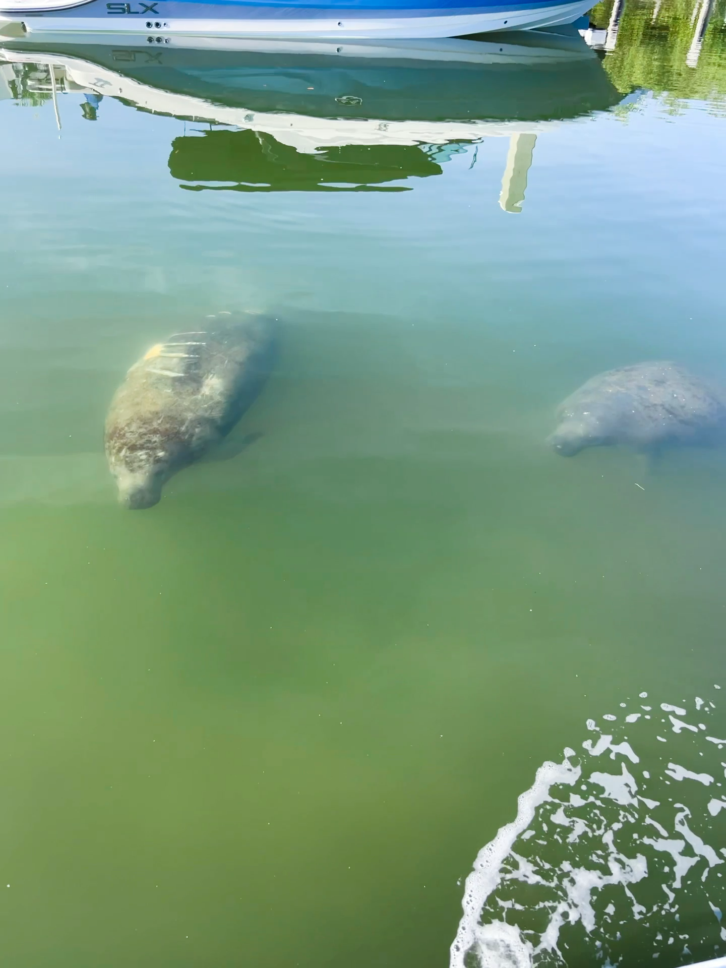 Private Wildlife Cruises