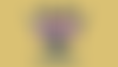 琉球ゴールデンキングス　オフィシャルパートナー決定　２０１９－２０２０