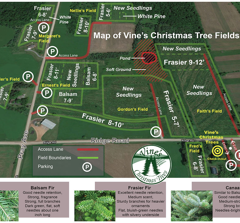 map of vine's christmas trees farm fields
