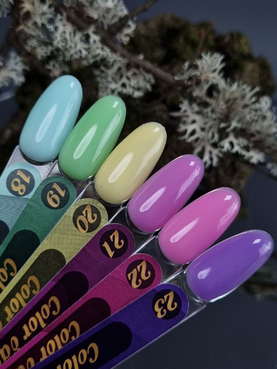Прев'ю: Color база №16