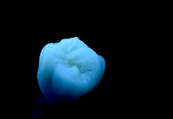 Fluorescencia
