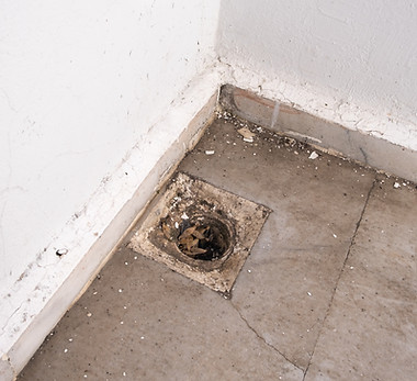 Floor drain in basement clogged and blocked.