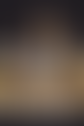 Wizards & Wands: Creating the Owlery