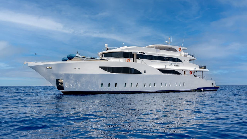 KITE & DIVE mit ODYSSEY