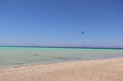 IMG_4321.JPG