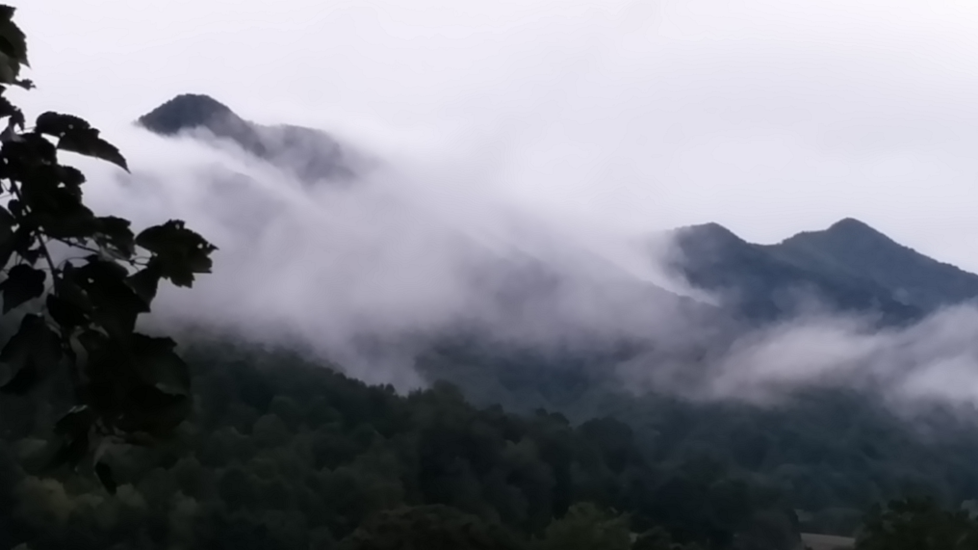 Smokey Mountains 2