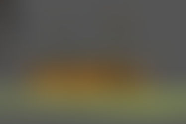 timber frame cabin LA5