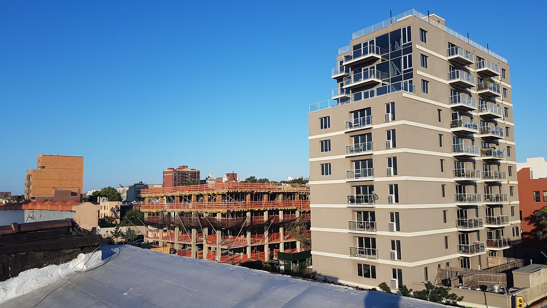 Rooftop Daze
