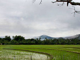 Early Monsoon 2025: A Boon for Rural India and FMCG Growth?