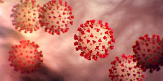 How Prophet Muhammad may have tackled the Coronavirus Crisis?