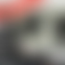 From Ohio to Wyoming, Pro-Israelis Finance 127 House Members