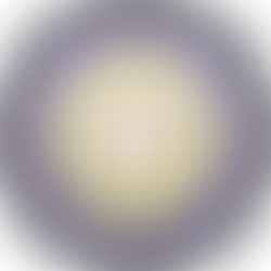 Did Hindutva Investigation Agency under the RSS Frame the Muslim Group?