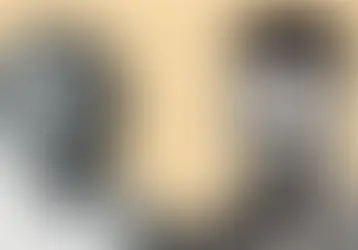 Three Competing Visions in Reshaping Modern India