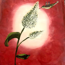 36_Hummingbird.jpeg
