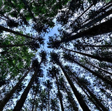 12_Reach the Sky.jpeg