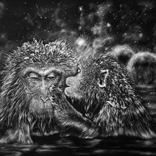 23_The Snow Monkeys of Japan.jpeg
