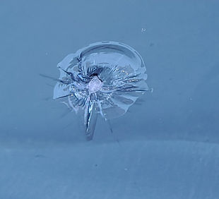 20241015_112057 (1).jpg