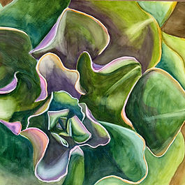 Succulent