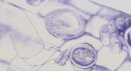 Capture d’écran 2025-06-02 à 20.12.05.png