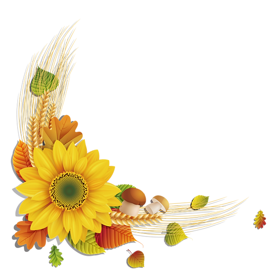 Sunflowers-png-715x715.png