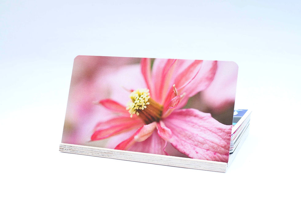 Miniaturbild: Set of cards  "Soul Garden"